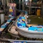 Jovem Aprendiz Lacta